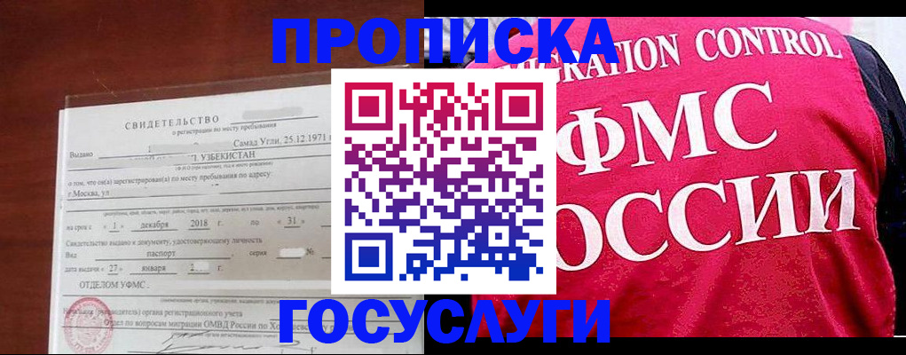 временная регистрация поиск в Павловске